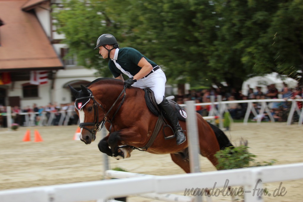 FM Hengst Hiro, étalon FM Hiro