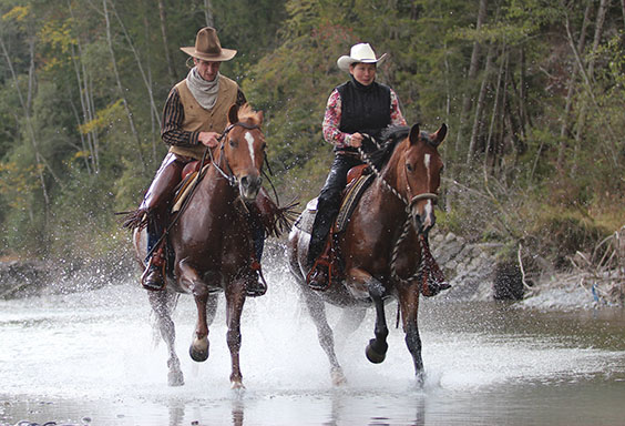 20. Geburtstag des SFV